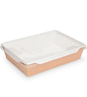 Бумажный контейнер OSQ OPSALAD 1000 мл 222x162x55 мм крафт